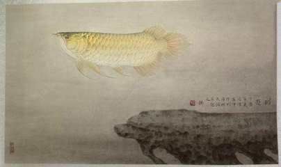 有關金龍魚的古詩：與金龍魚有關的古詩