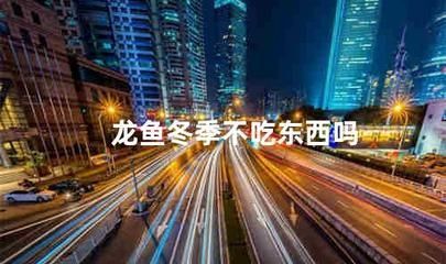 龍魚冬天不加溫能否存活（龍魚冬天不加溫怎么辦） 龍魚冬天不加溫能否存活（龍魚冬天不加溫怎么辦） 龍魚百科 第3張