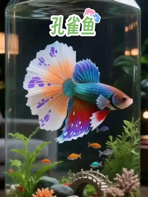 能再推薦幾種混養魚種嗎？ 能再推薦幾種混養魚種嗎？ 龍魚百科 第4張