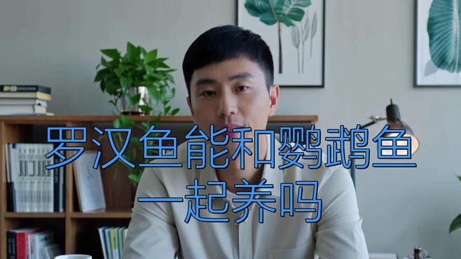 能再推薦幾種混養魚種嗎？ 能再推薦幾種混養魚種嗎？ 龍魚百科 第8張