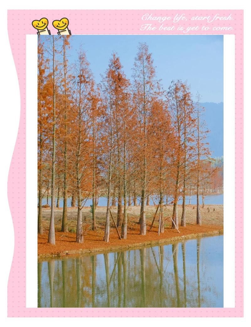 哪里可以找到龍水湖的霞光圖片？