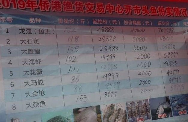 龍躉石斑魚(yú)的價(jià)格是多少？