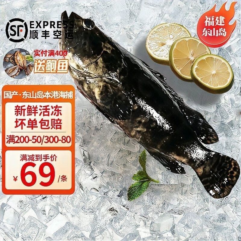 龍躉石斑魚(yú)的價(jià)格是多少？