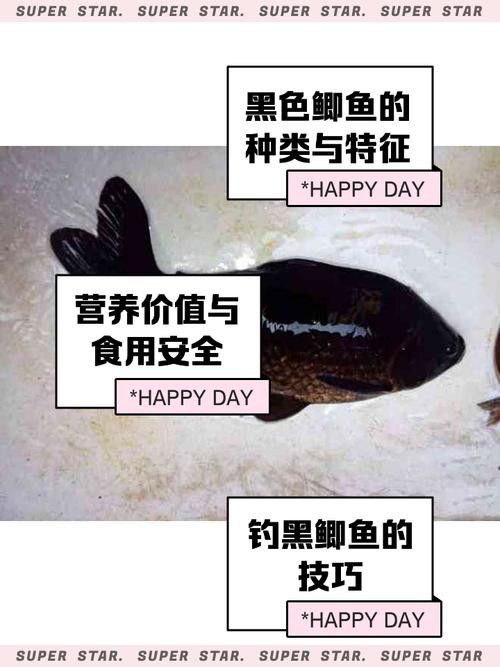 烏龍魚是什么魚圖片大全
