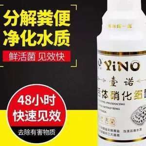 怎么清理龍魚缸的糞便污垢：怎么清理龍魚缸的糞便污垢，清理龍魚缸的方法是什么