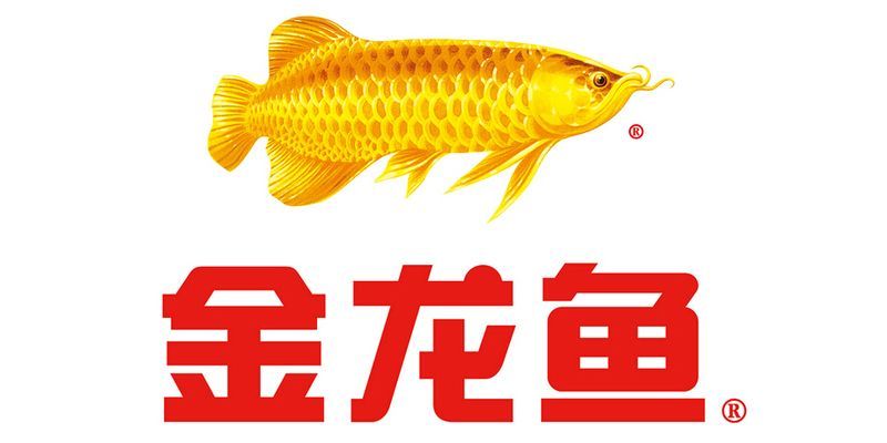 金龍魚的牌子是什么標志（金龍魚品牌文化內涵解析）