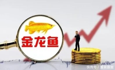 怎么養(yǎng)紅龍魚在家里（紅龍魚怎么才能養(yǎng)好）