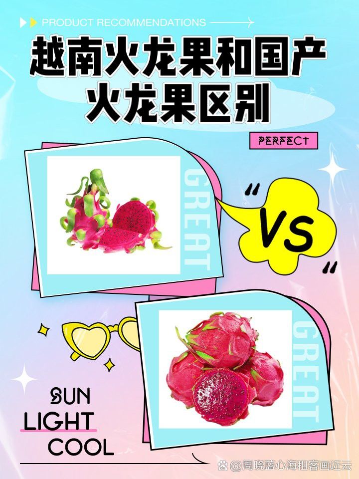 越南紅龍和潮汕紅龍的價格差異大嗎？