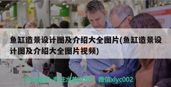 魚缸造景設(shè)計(jì)圖及介紹大全圖片(魚缸造景設(shè)計(jì)圖及介紹大全圖片視頻)