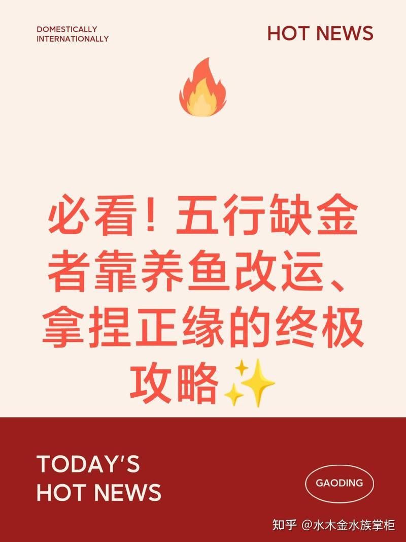 屬龍的人養什么魚旺財