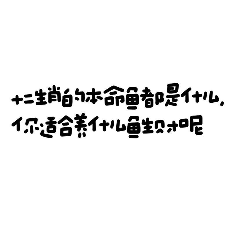 屬龍的人養什么魚旺財