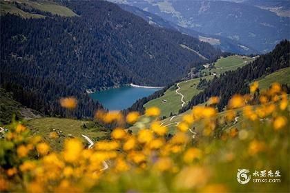 屬龍的人養什么魚旺財