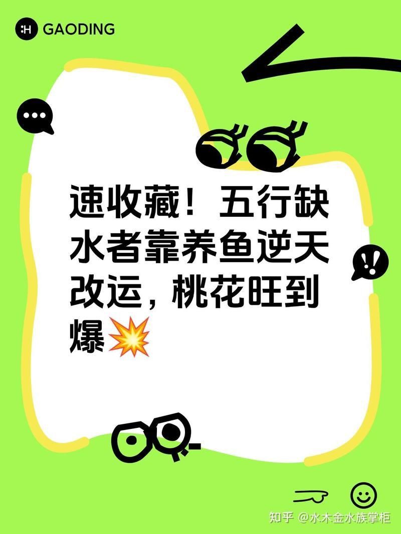 屬龍的人養什么魚旺財