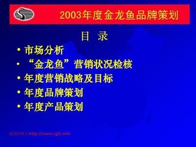 金龍魚營銷策略分析報告總結（金龍魚國際市場的競爭策略）