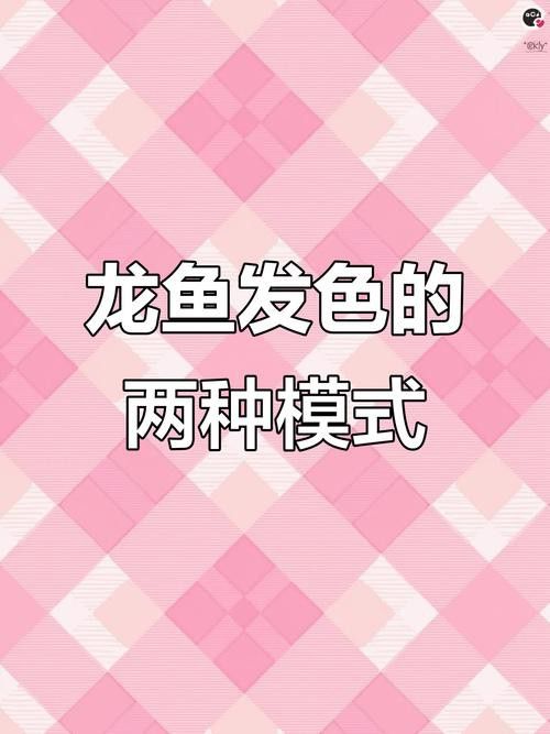 如何區(qū)分不同品種的觀賞龍魚？ 如何區(qū)分不同品種的觀賞龍魚？ 龍魚百科 第4張