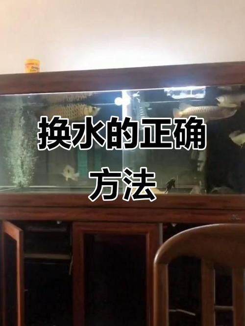 龍魚蒙眼怎么辦圖片視頻