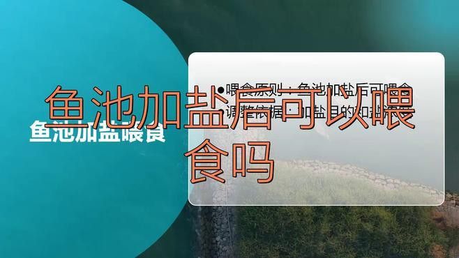龍魚加鹽后需要停食嗎？ 龍魚加鹽后需要停食嗎？ 龍魚百科 第2張
