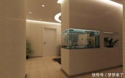 家里擺放金龍魚好嗎：家里擺放金龍魚有一定吉祥寓意，但需要注意一些禁忌