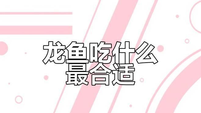 龍魚人工飼料哪個品牌好？