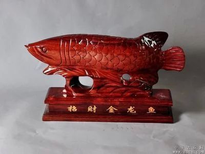 最貴金龍魚拍賣（金龍魚在拍賣中的最高價格是7萬元人民幣，這一價格是7萬元人民幣）