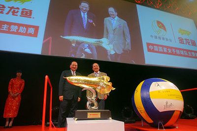 古典金龍魚等級區分圖解（古典金龍魚的等級區分）