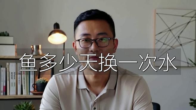 藍(lán)底過背金龍魚多久換一次水？