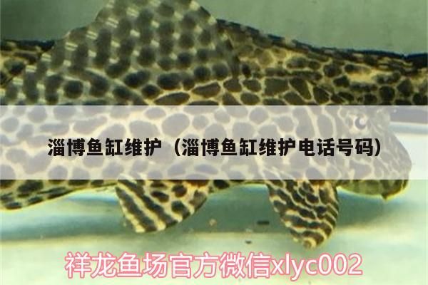 <strong><mark>淄博</mark></strong>魚缸維護（<strong><mark>淄博</mark></strong>魚缸維護電話號碼）