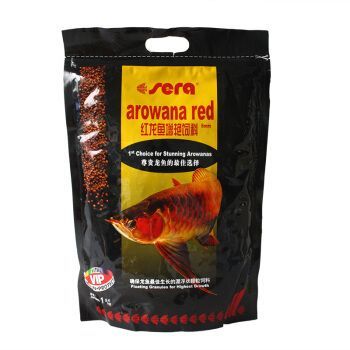 紅龍魚需要添加維生素嗎：紅龍魚的飼養過程中是否需要額外添加維生素