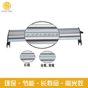 龍魚照燈時間：養龍魚的注意事項