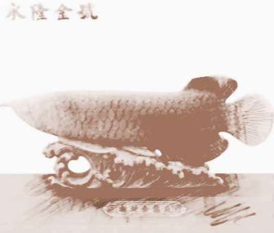 金龍魚擺件的擺放有講究嗎：招財龍魚擺件如何擺放