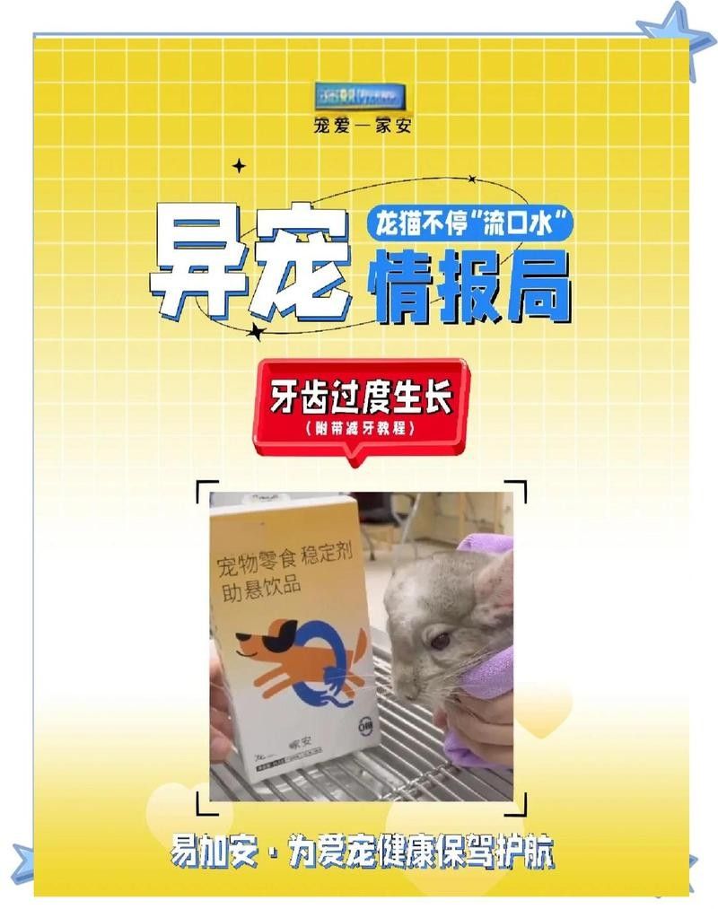 龍貓流口水會自愈嗎？