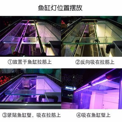 龍魚燈怎么擺放最好：龍魚燈籠的擺放方式