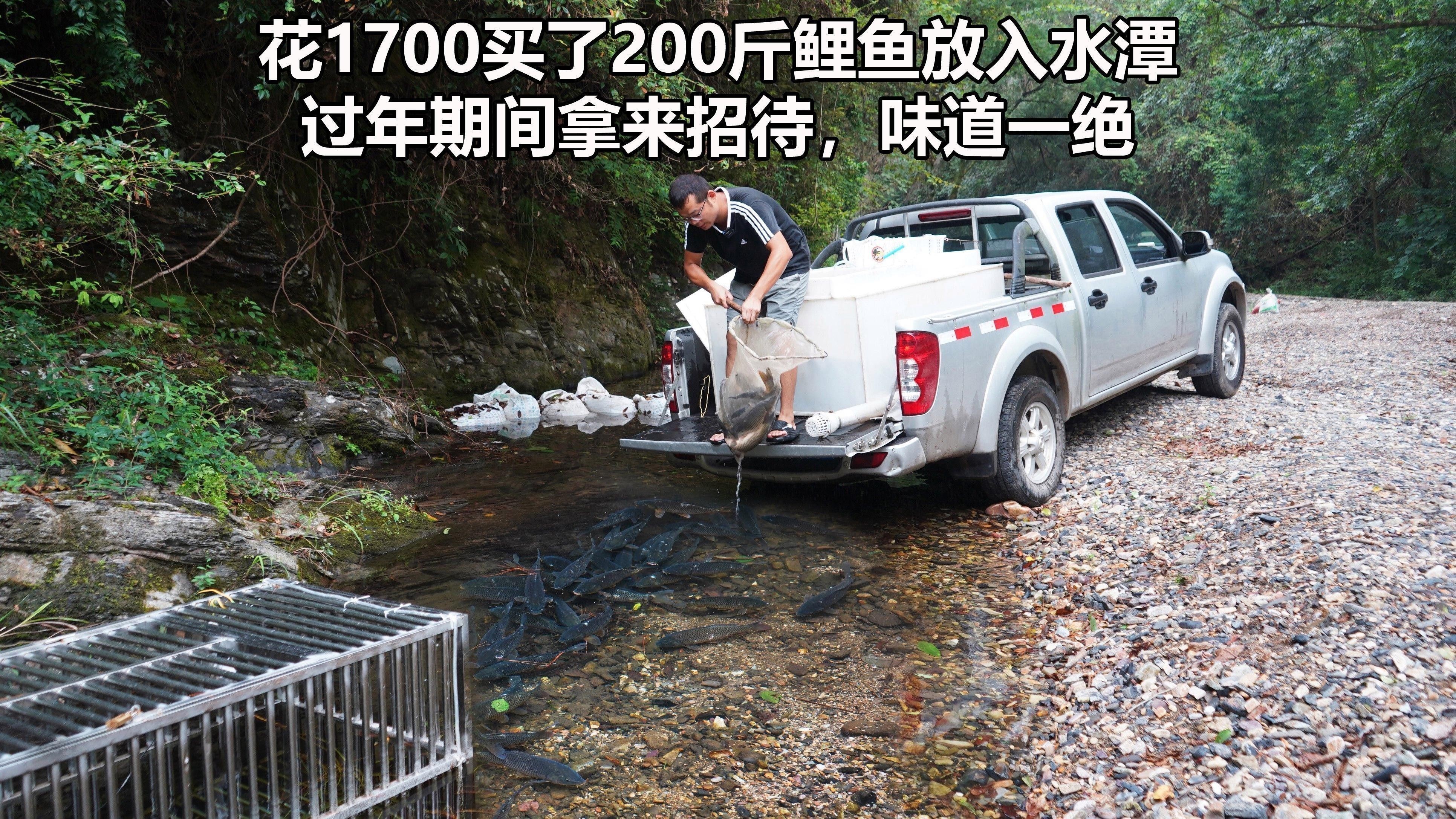 龍魚飼料魚怎么處理干凈圖片
