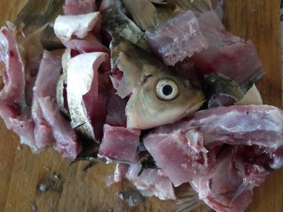 龍魚可以喂給龍魚嗎：生魚肉可以喂給龍魚嗎 龍魚可以喂給龍魚嗎：生魚肉可以喂給龍魚嗎 龍魚百科
