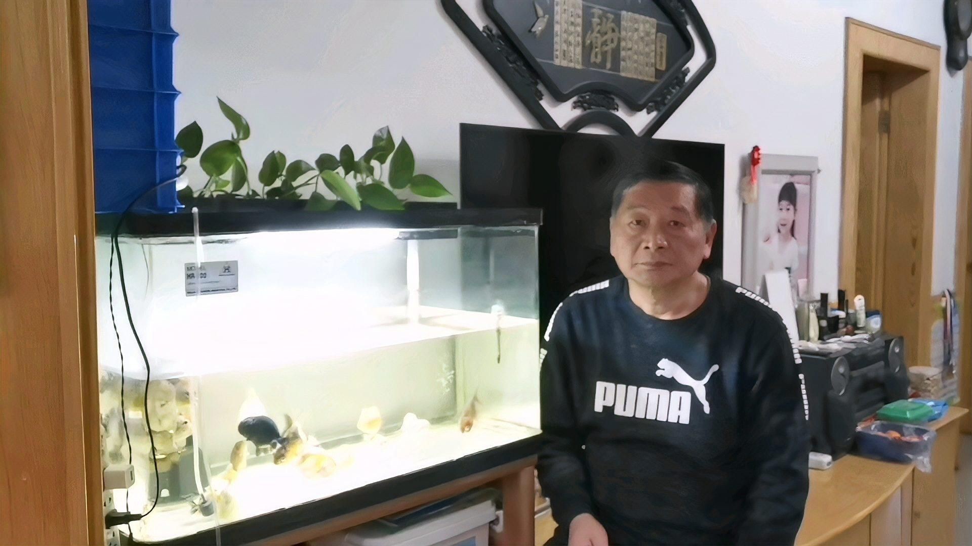 如何預防魚身上發紅？