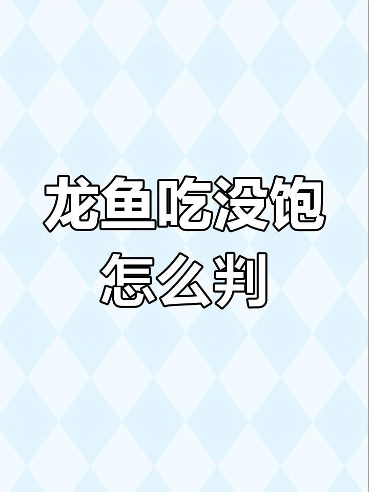 如何判斷龍魚是否饑餓？ 如何判斷龍魚是否饑餓？ 龍魚百科 第1張
