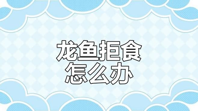 如何判斷龍魚是否饑餓？ 如何判斷龍魚是否饑餓？ 龍魚百科 第3張