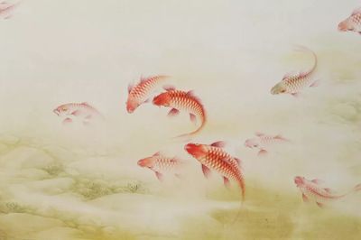 關于龍魚的詩句古詩：關于龍魚的古詩