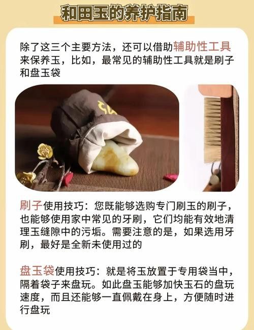 金龍魚膠是什么魚圖片視頻