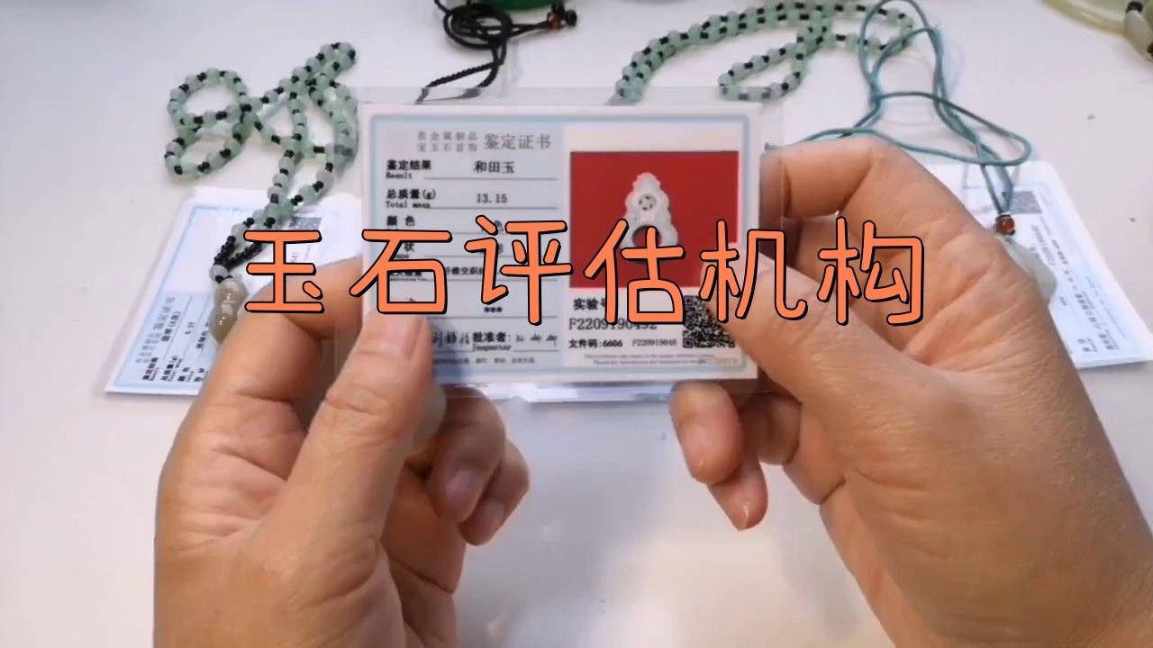 金龍魚膠是什么魚圖片視頻