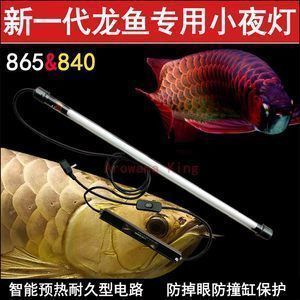 龍魚褪色怎么才能恢復快，如何幫助龍魚快速恢復顏色