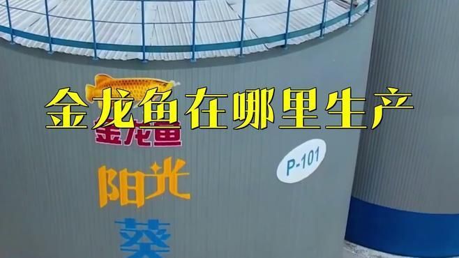 金龍魚有幾個(gè)生產(chǎn)