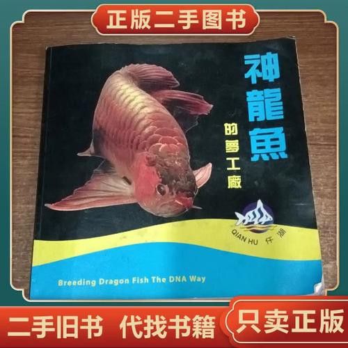 神龍魚圖片大全高清 神龍魚圖片大全高清 龍魚百科 第1張