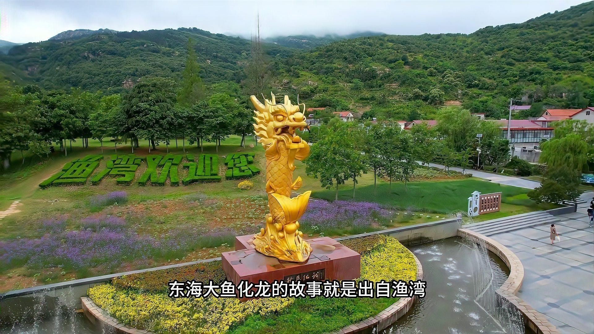神龍魚圖片大全高清 神龍魚圖片大全高清 龍魚百科 第21張