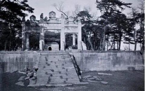 金龍魚一般吃什么東西（金龍魚如何挑選活餌） 金龍魚一般吃什么東西（金龍魚如何挑選活餌） 龍魚百科 第4張