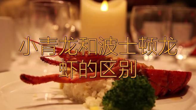龍蝦和小青龍的區別