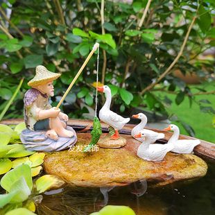 水鴨魚(yú)缸排名第一