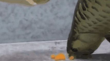 養的金龍魚突然跳出來死掉了(金龍魚突然死亡可能是由多種因素共同作用的結果) 龍魚百科 第4張 養的金龍魚突然跳出來死掉了(金龍魚突然死亡可能是由多種因素共同作用的結果) 養的金龍魚突然跳出來死掉了(金龍魚突然死亡可能是由多種因素共同作用的結果) 龍魚百科 第4張