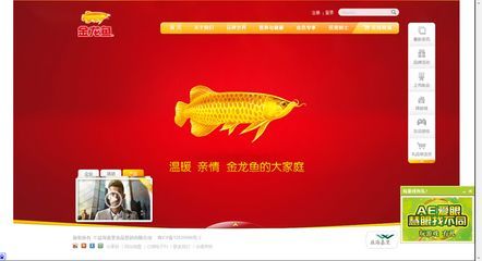 金龍魚運輸后翻肚皮會死嗎:金龍魚運輸后翻肚皮會死嗎金龍魚運輸后會死嗎 龍魚百科 第1張 金龍魚運輸后翻肚皮會死嗎:金龍魚運輸后翻肚皮會死嗎金龍魚運輸后會死嗎 金龍魚運輸后翻肚皮會死嗎:金龍魚運輸后翻肚皮會死嗎金龍魚運輸后會死嗎 龍魚百科 第1張