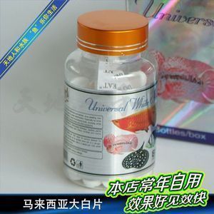 大白片的用法和用量龍魚的區別：龍魚大白片使用方法和用量 大白片的用法和用量龍魚的區別：龍魚大白片使用方法和用量 龍魚百科 第3張